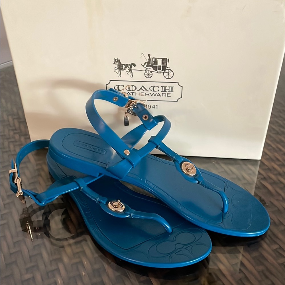 Coach Blue Sandals with Ankle Strap and Silver Hardware